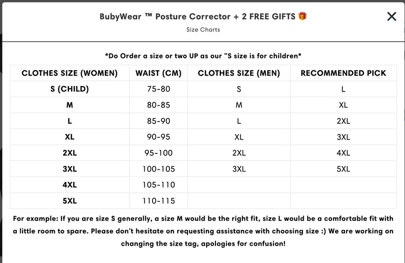 Posture Corrector